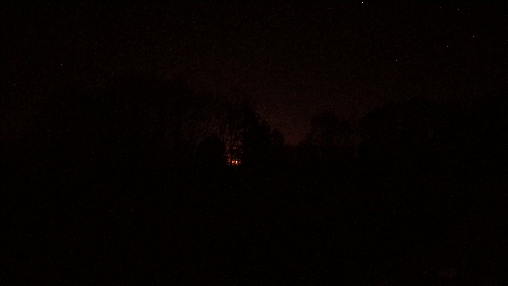 A low-hanging, reddish moon is visible through the silhouettes of dark trees at night under a starry sky.