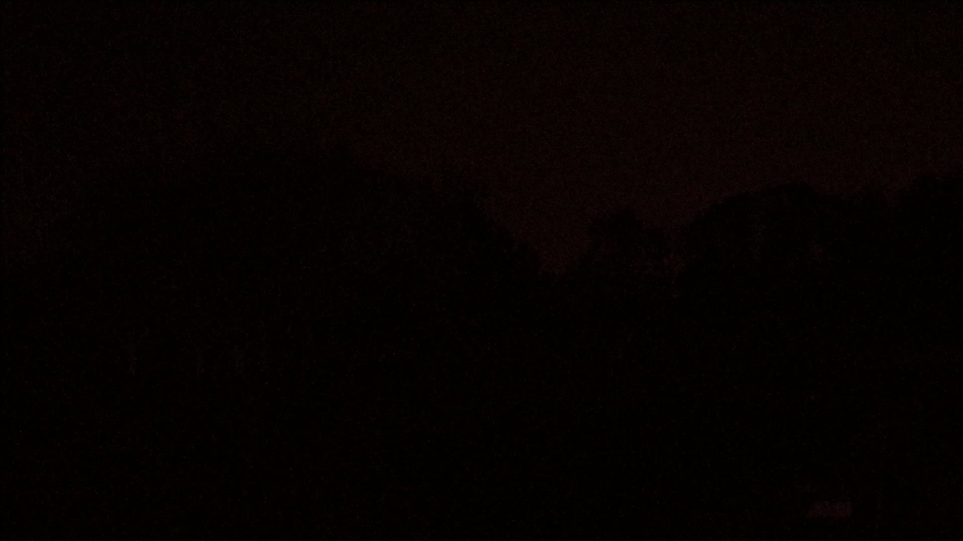 A dark, nighttime scene shows a silhouetted line of trees against a very dark sky.