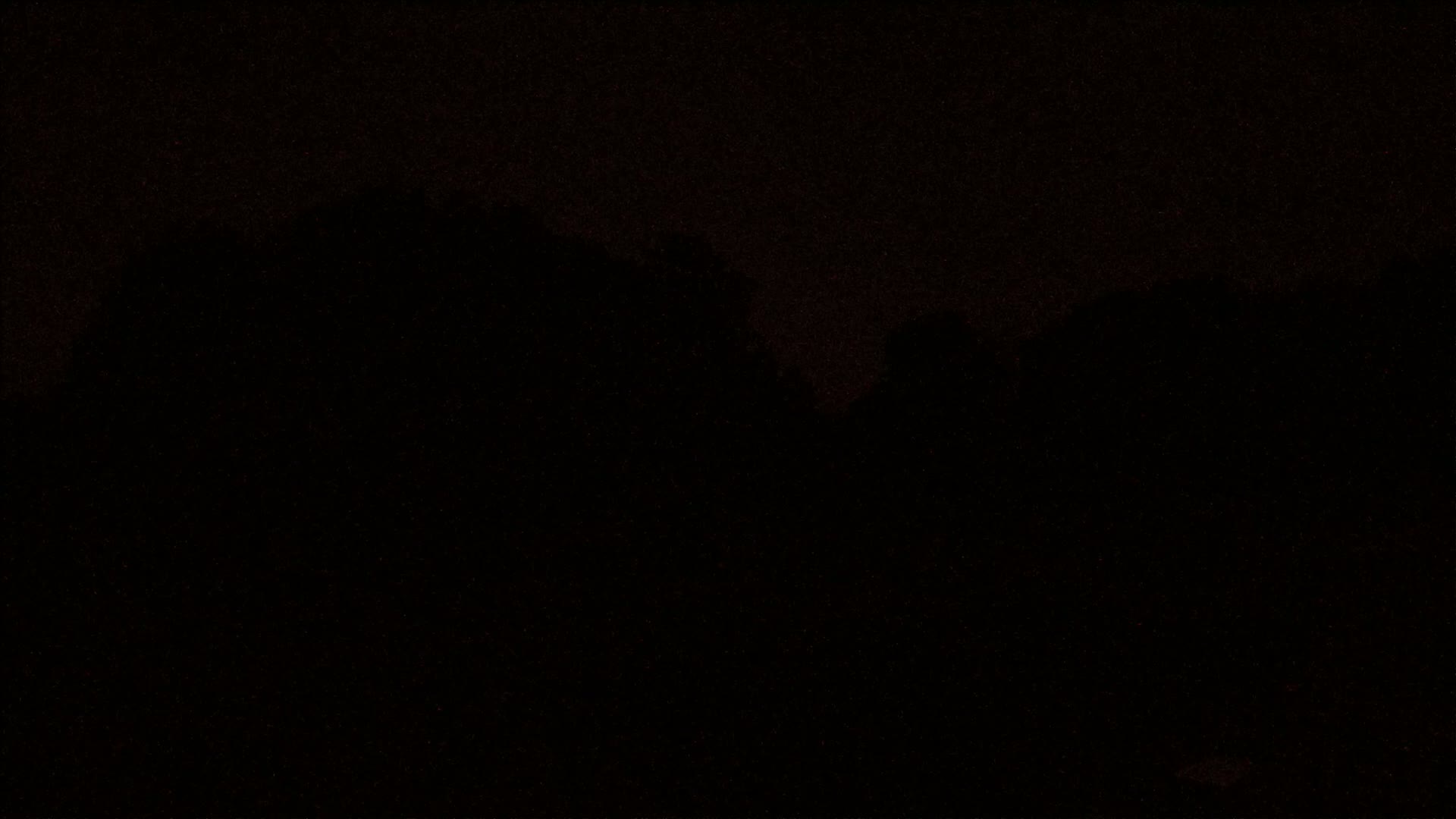 A dark, nighttime image shows a silhouetted line of trees.