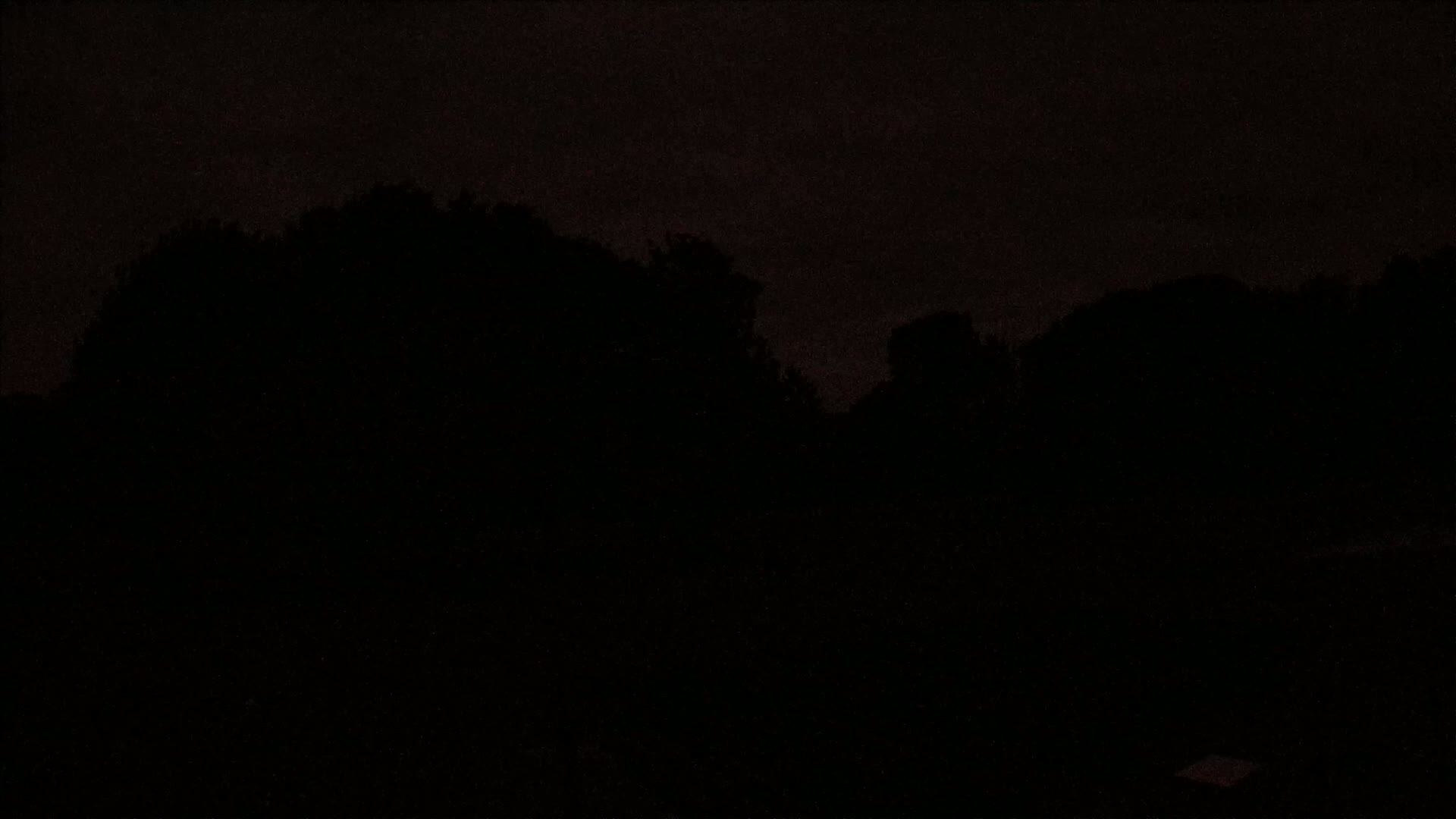 A dark nighttime scene shows the silhouettes of trees against a mostly clear, dark sky.