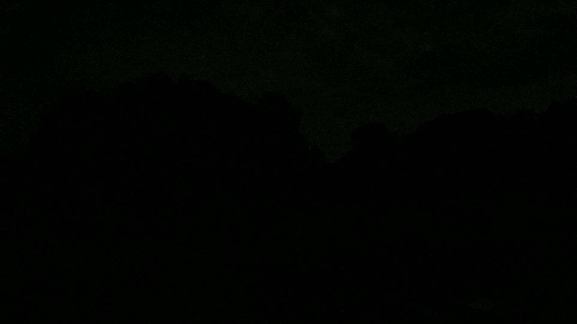 A dark, nighttime scene shows a silhouetted line of trees against a mostly clear, dark sky.