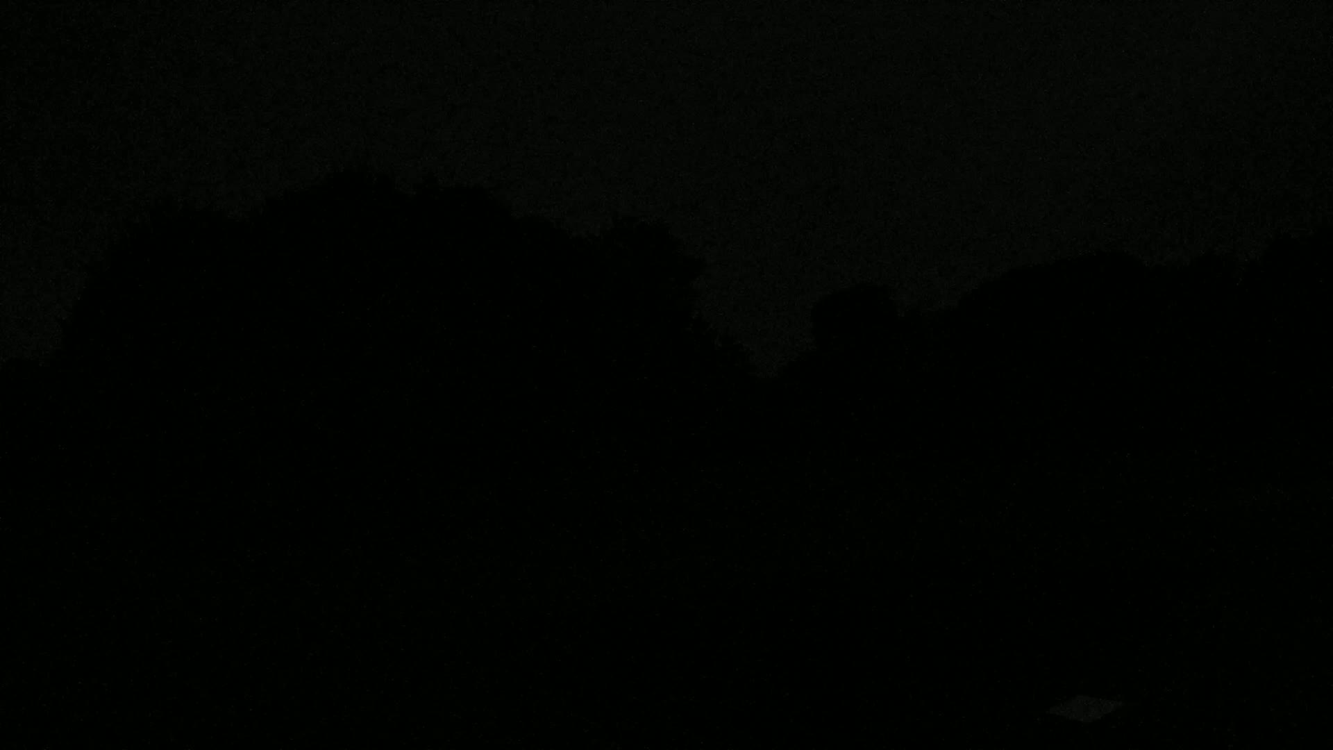 A dark, nighttime image shows a silhouetted line of trees against an overcast sky.