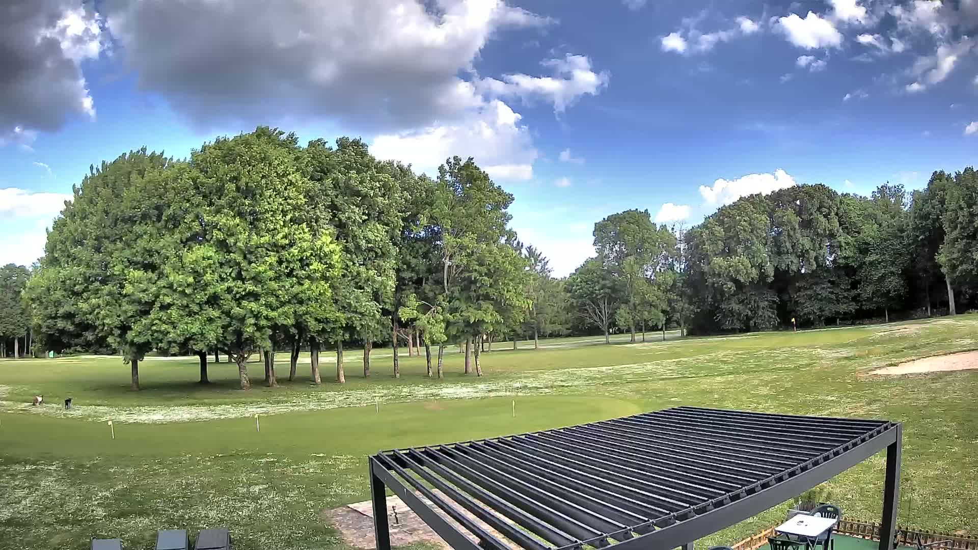 A partly cloudy sky overlooks a grassy golf course with a cluster of trees in the foreground and a dark-colored pergola in the bottom right corner.