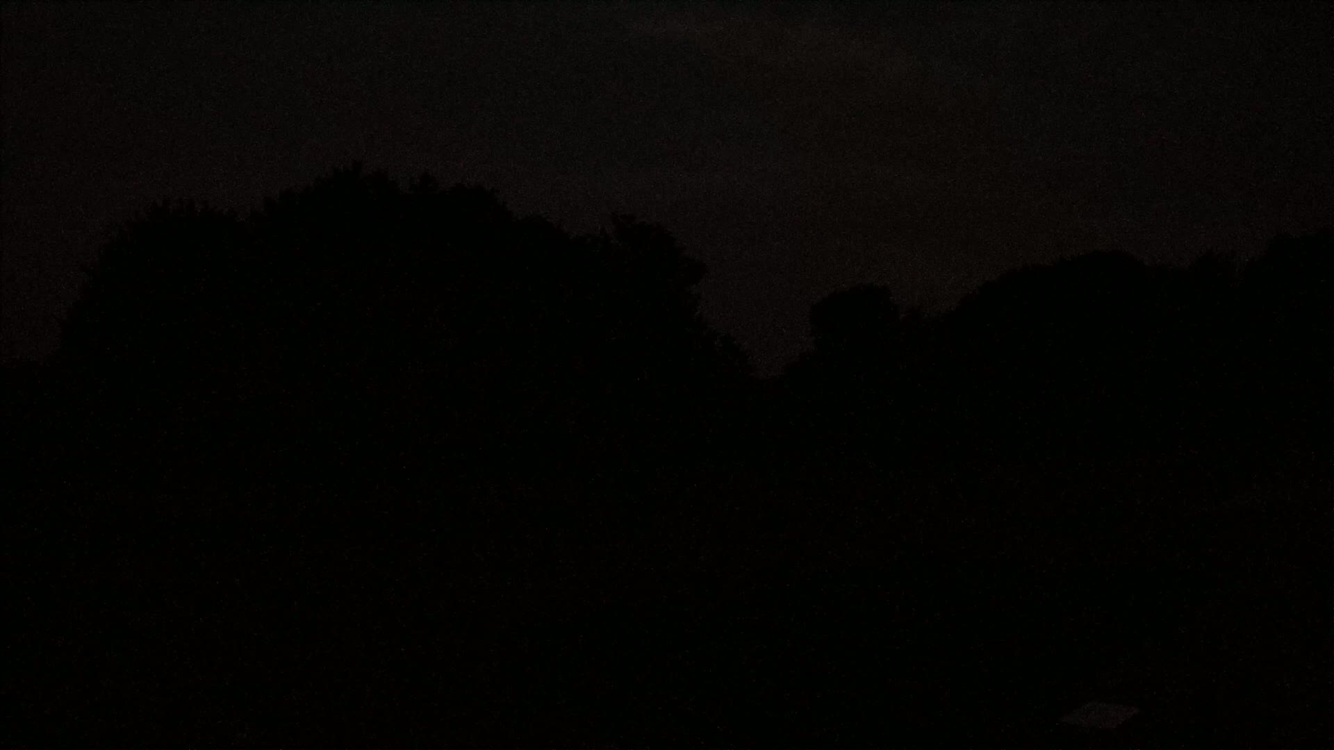 A dark, nighttime scene shows the silhouettes of trees against a mostly clear sky.