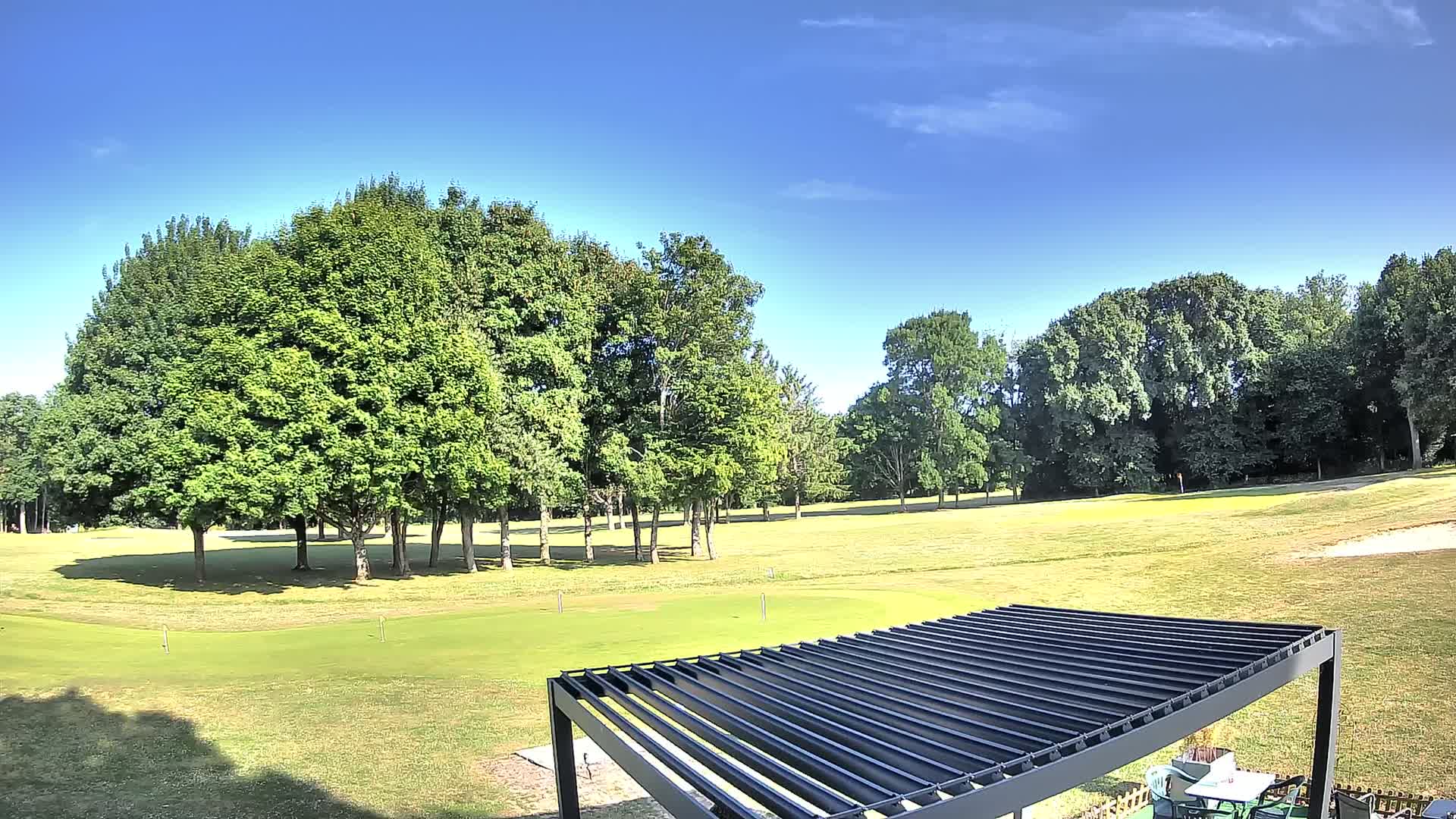 A golf course with lush green fairways, bordered by full, green deciduous trees under a clear blue sky.