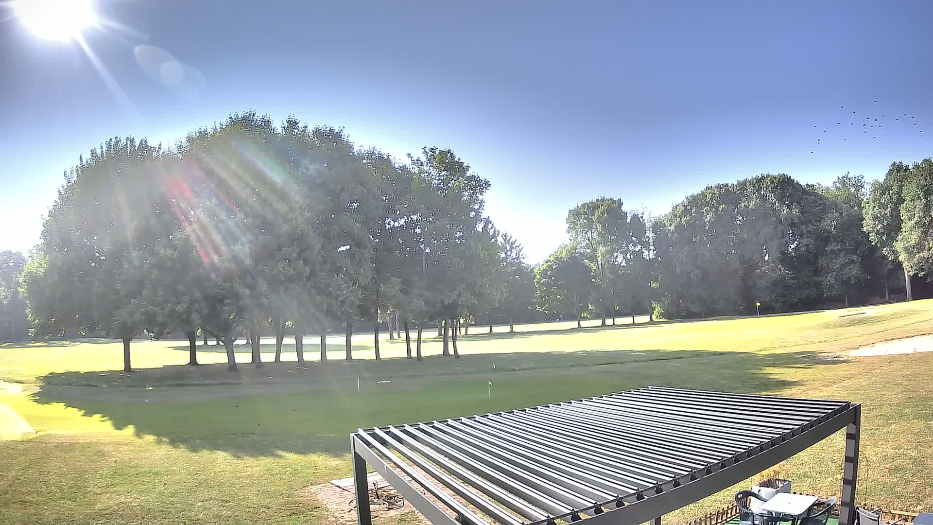 A sunny day reveals a golf course with a cluster of trees in the mid-ground, partially obscured by a slatted pergola in the foreground.