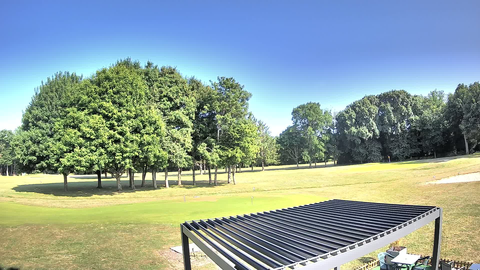 A sprawling green lawn with several trees and a dark-colored pergola under a clear blue sky.