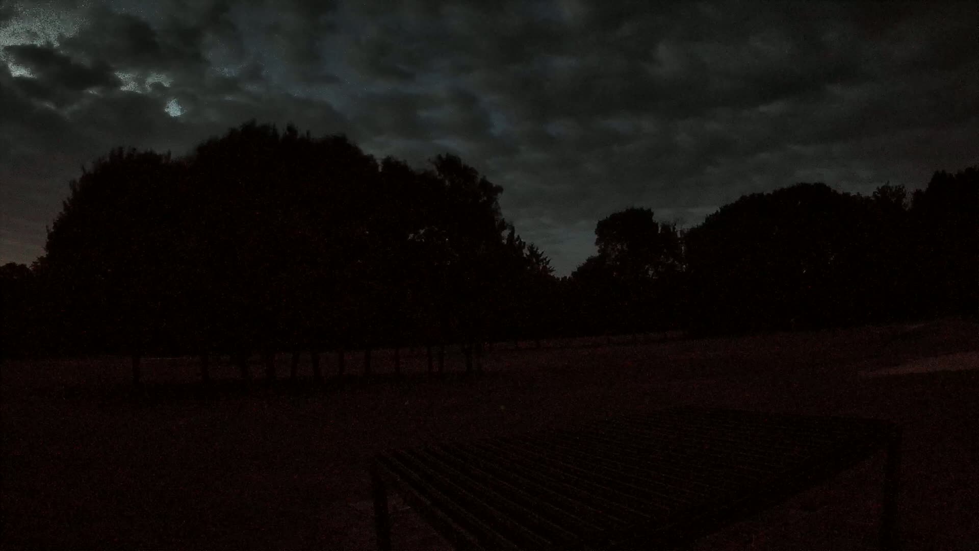 Silhouetted trees stand against a dark, cloudy night sky, with a dark, flat expanse of ground in the foreground.