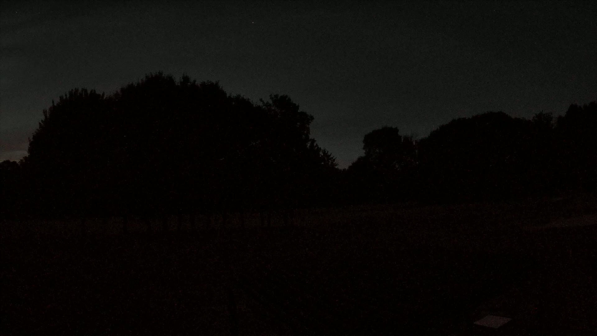 Silhouetted trees line a dark field under a mostly clear night sky.