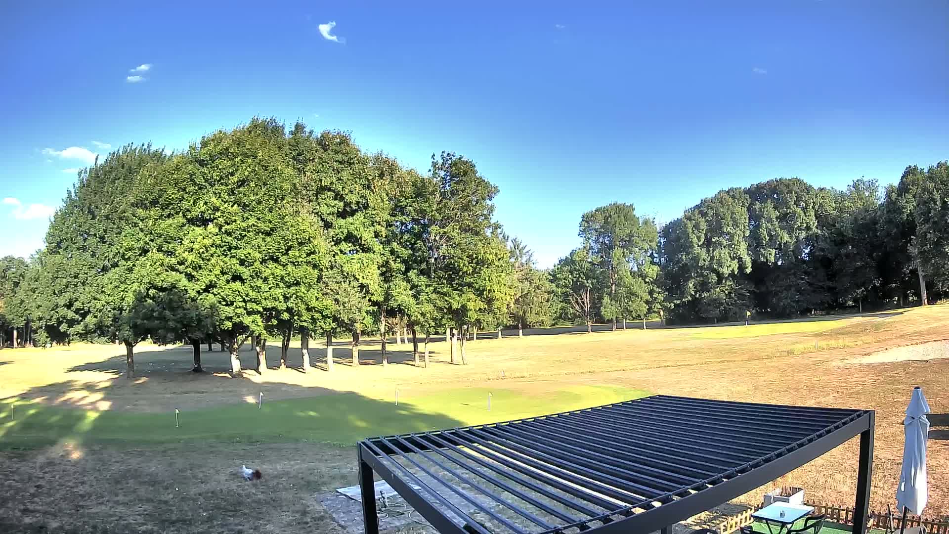 Neuvy-Pailloux, Golf des Sarrays Live Cam - Issoudun , Indre, Centre-Val de Loire, France