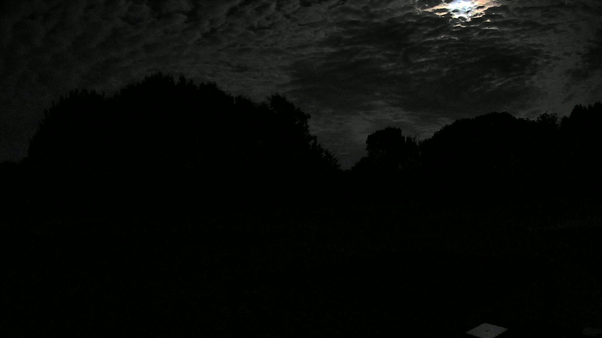 A bright moon shines through a cloudy night sky above a dark silhouette of trees.