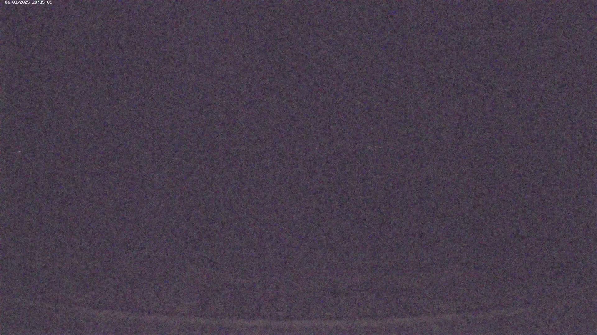 A dark purple, grainy image shows a mostly uniform texture with subtle variations in shade.