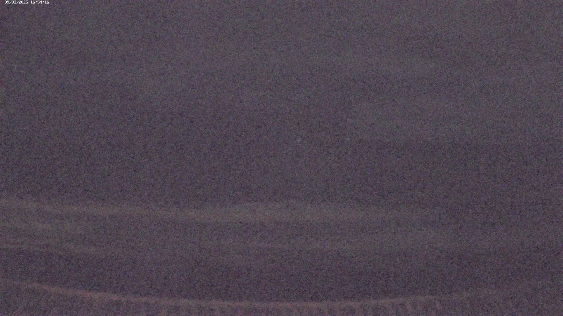 A blurry, dark gray landscape is visible under an overcast sky.