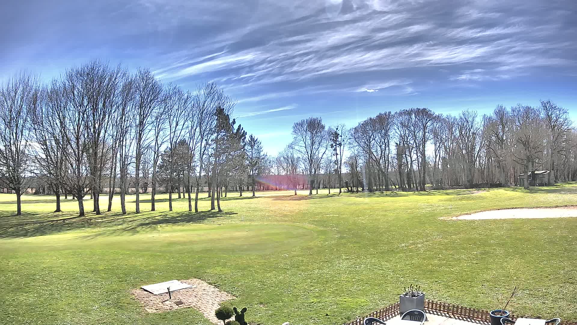 A sunny day on a golf course, featuring a mostly-bare, deciduous tree line bordering a sprawling green lawn.