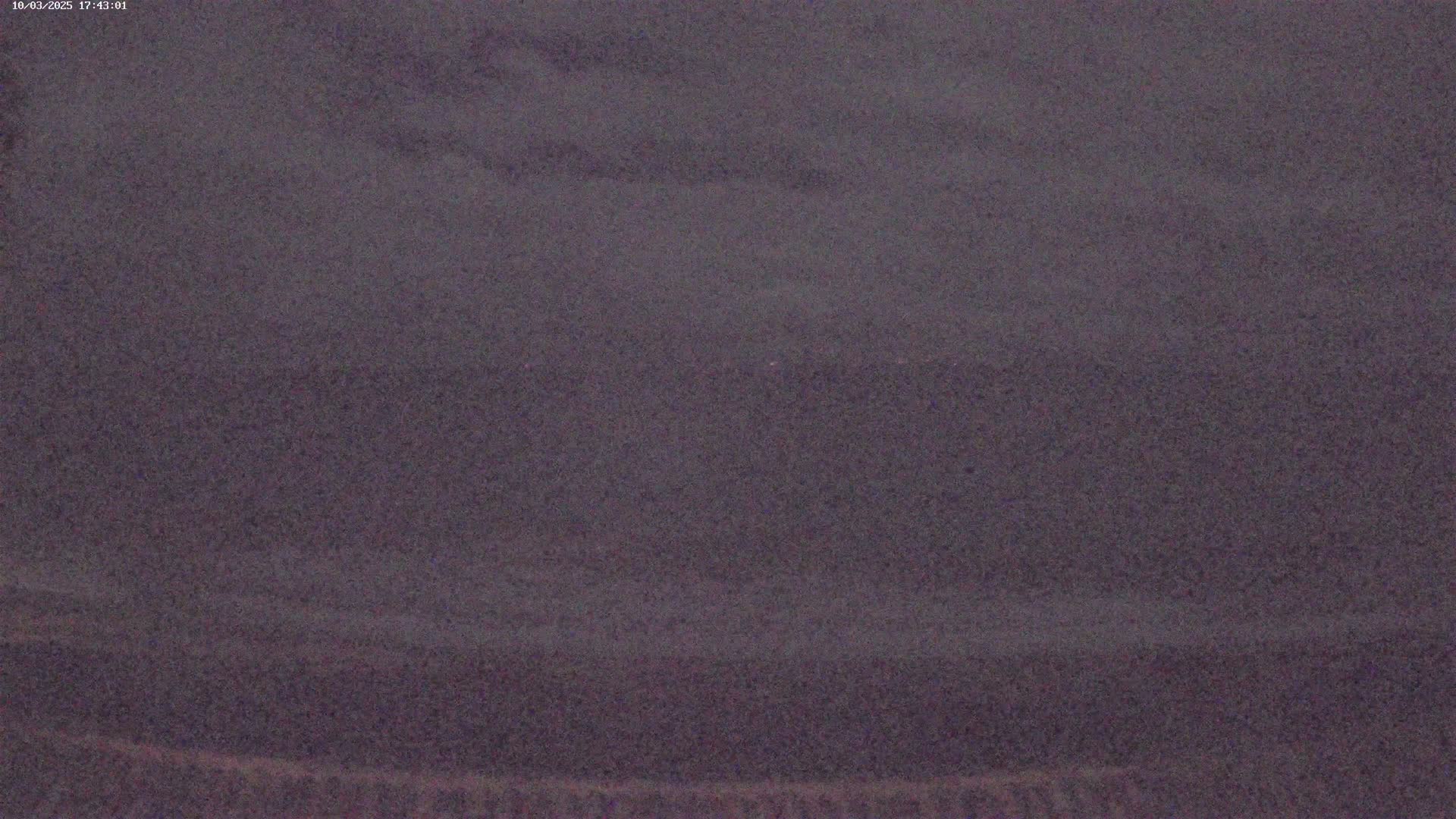 A dark gray, textured surface extends across the entire image.