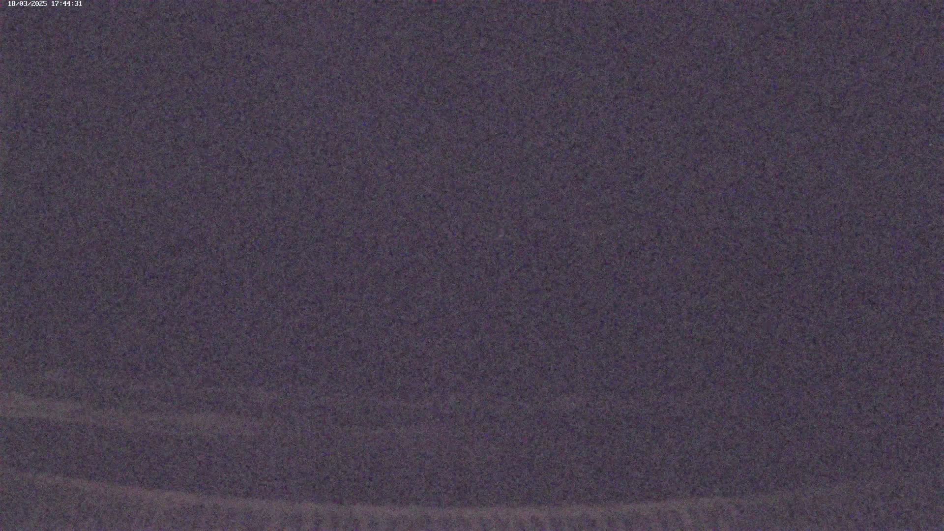 A dark purplish-gray textured surface is shown.