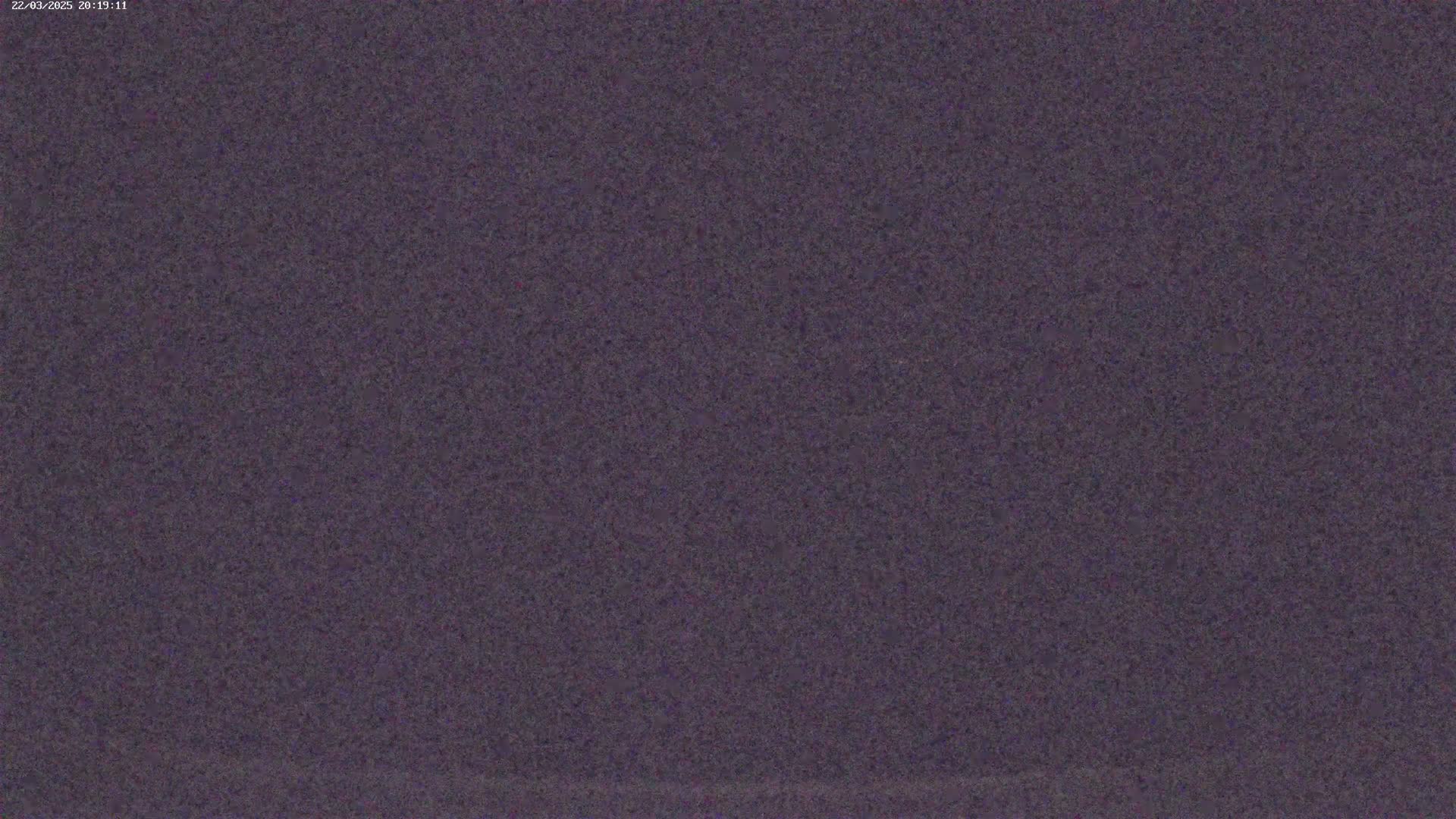The image shows a dark purple, textured surface.