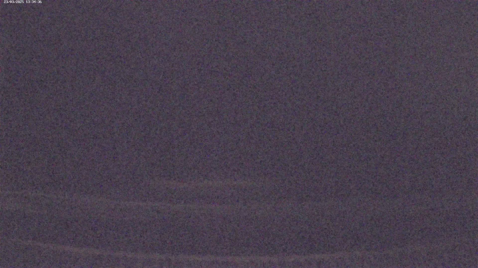 The image shows a grainy, dark purplish-gray surface.