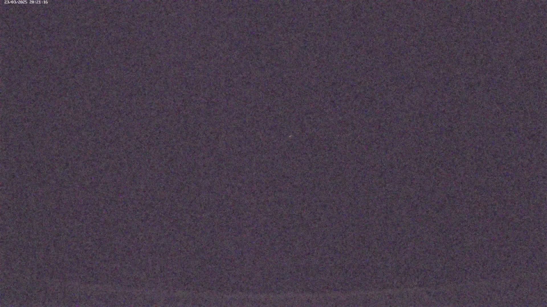 A grainy, dark purple image shows a mostly uniform texture with a few slightly lighter specks.