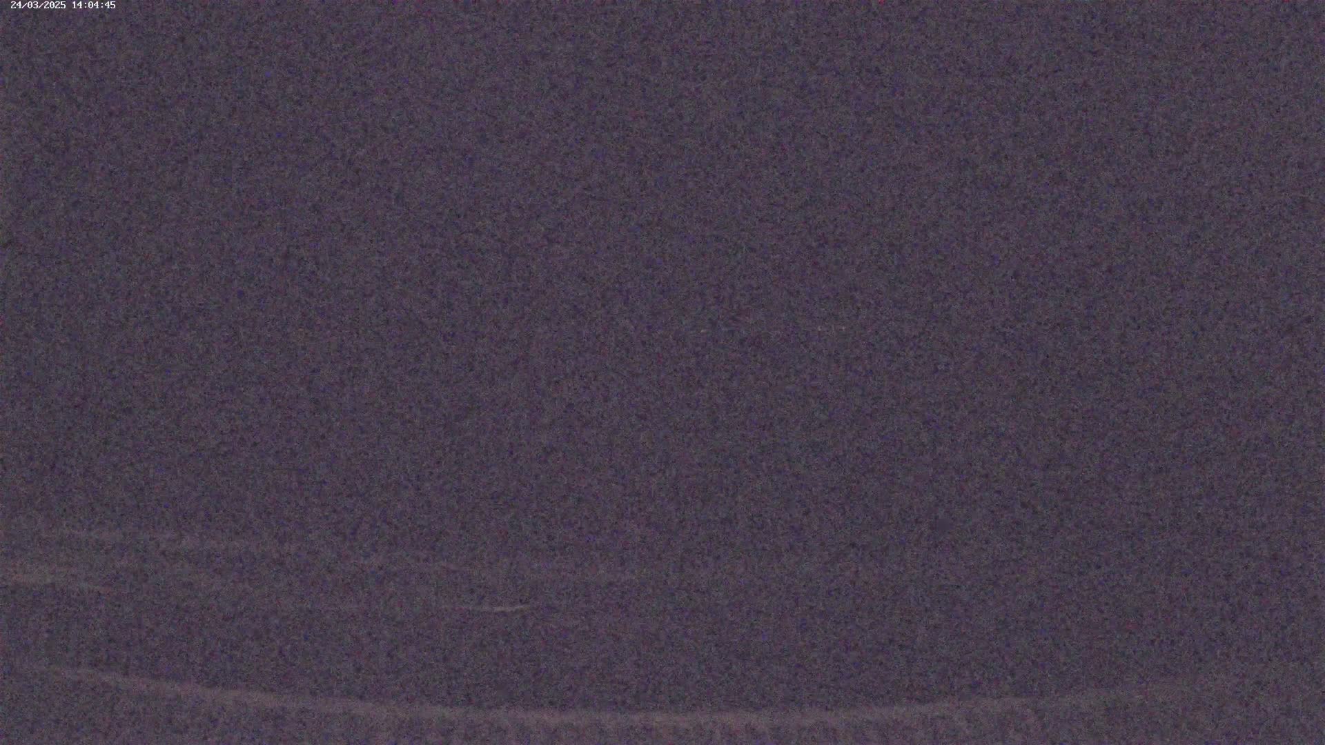 The image shows a dark purple, grainy surface.