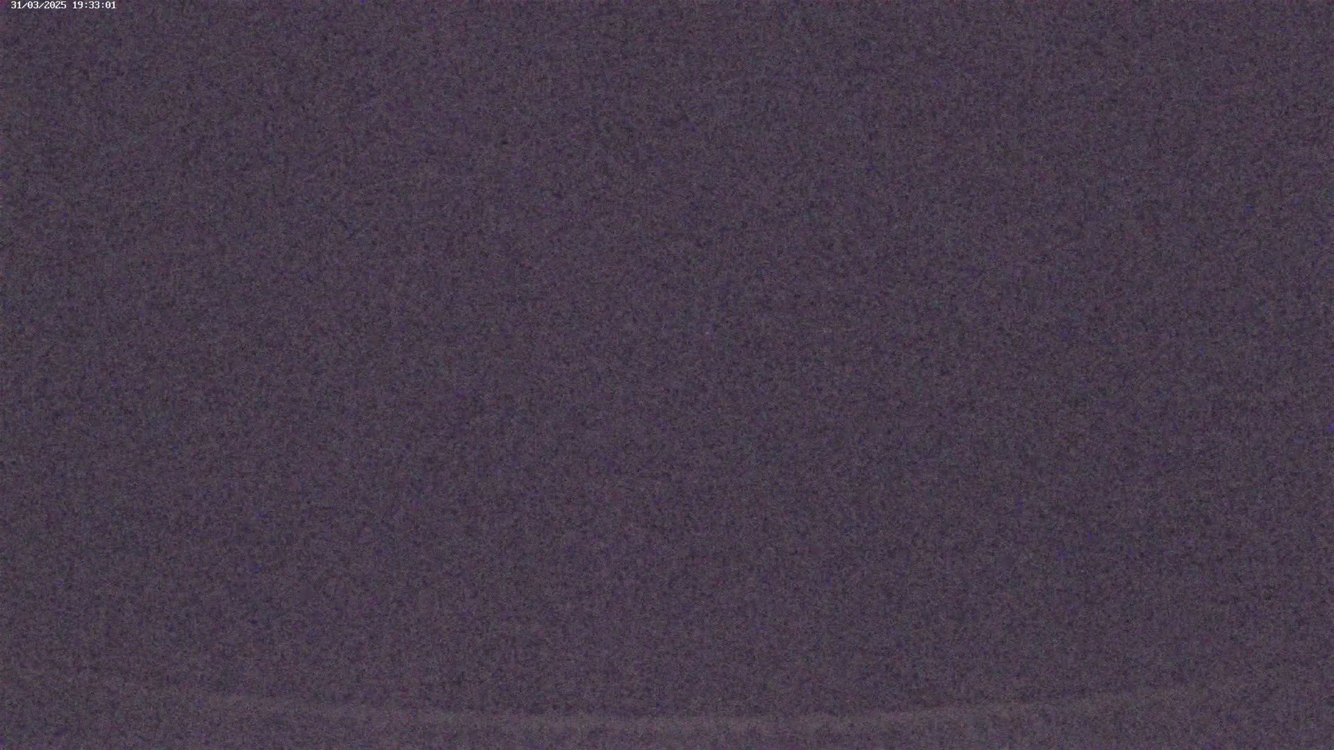 The image shows a uniformly dark purple textured surface.