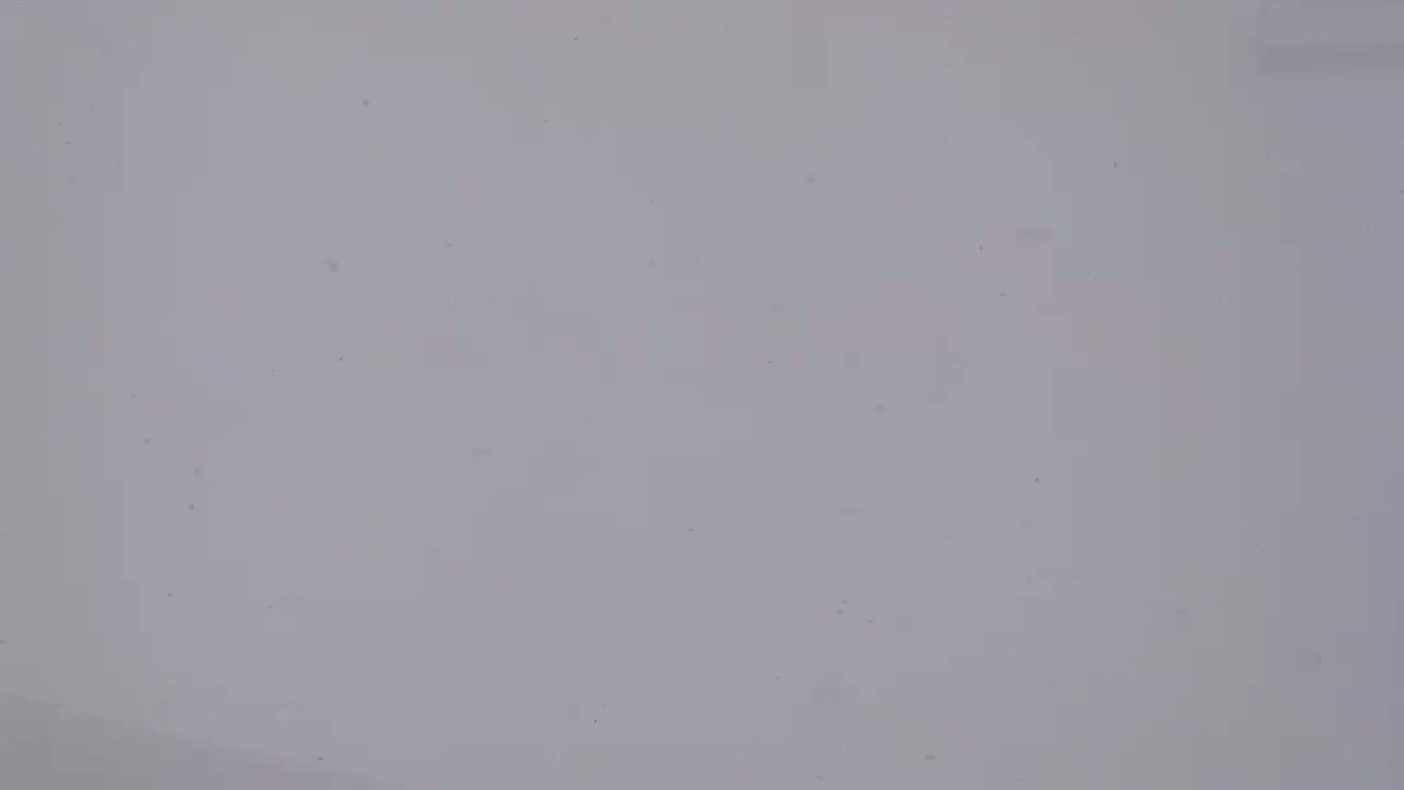 The image shows a light gray surface with a few small dark specks.