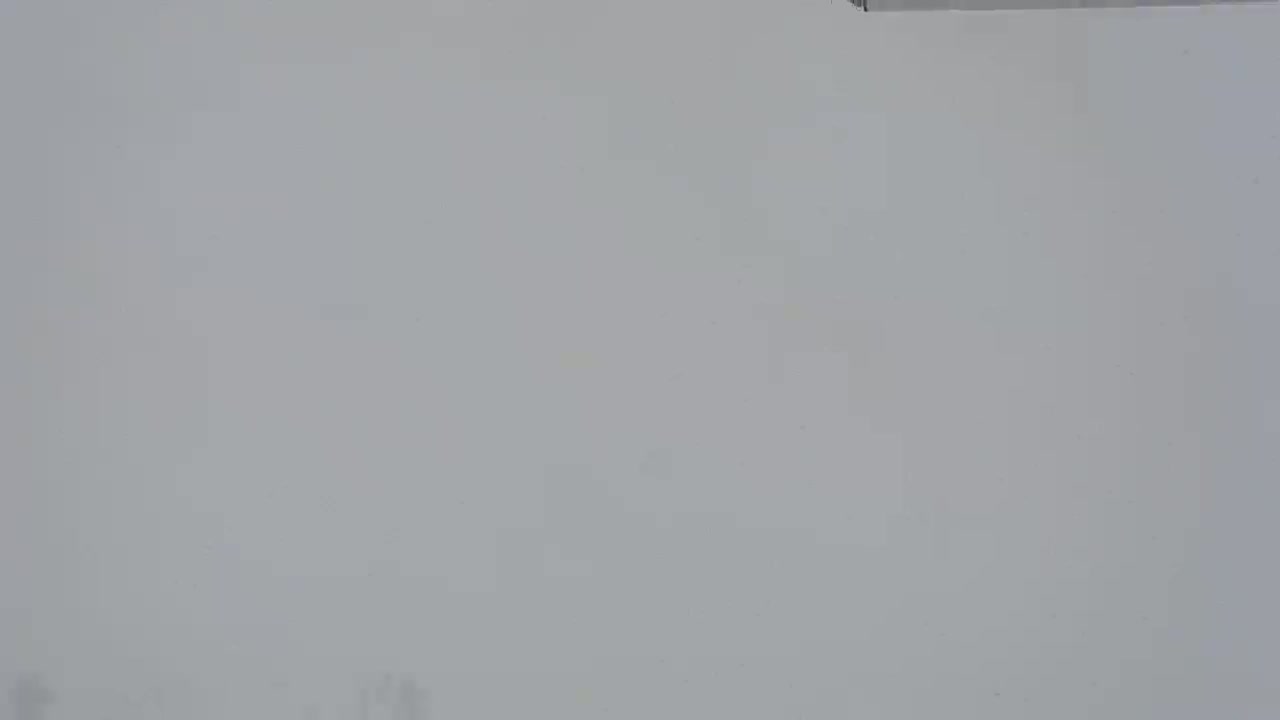 A mostly featureless, light gray scene is shown, possibly depicting heavy fog or a snowstorm.