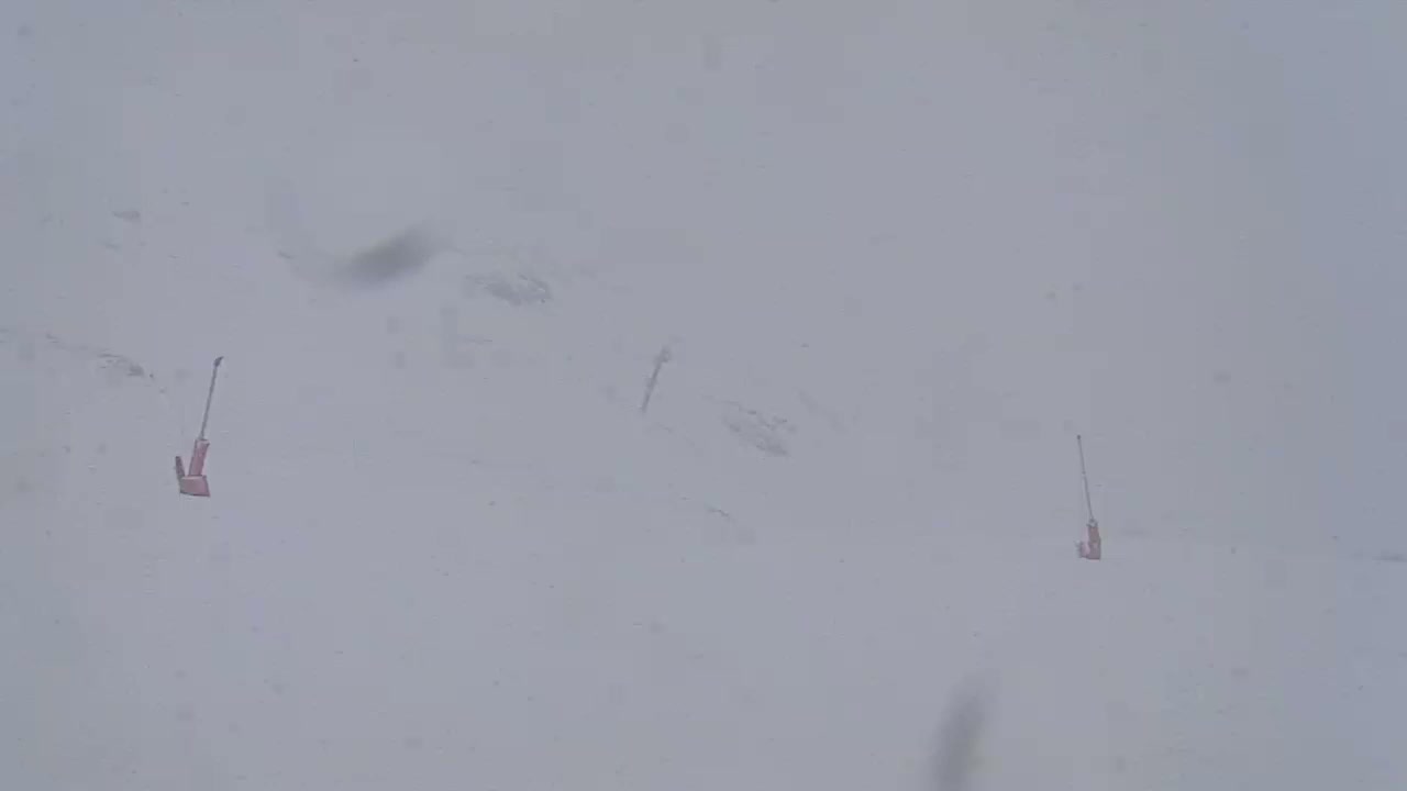 Three small, reddish-brown objects are partially buried in a snowy landscape during a blizzard.