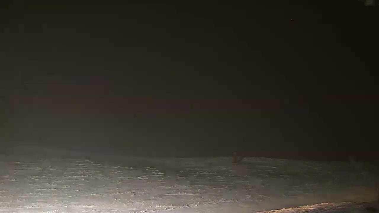 A snow-covered ground is visible under a dark, nighttime sky.