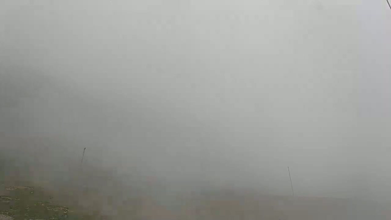 A foggy, outdoor scene shows a flat expanse of land with a few thin poles extending from the ground.
