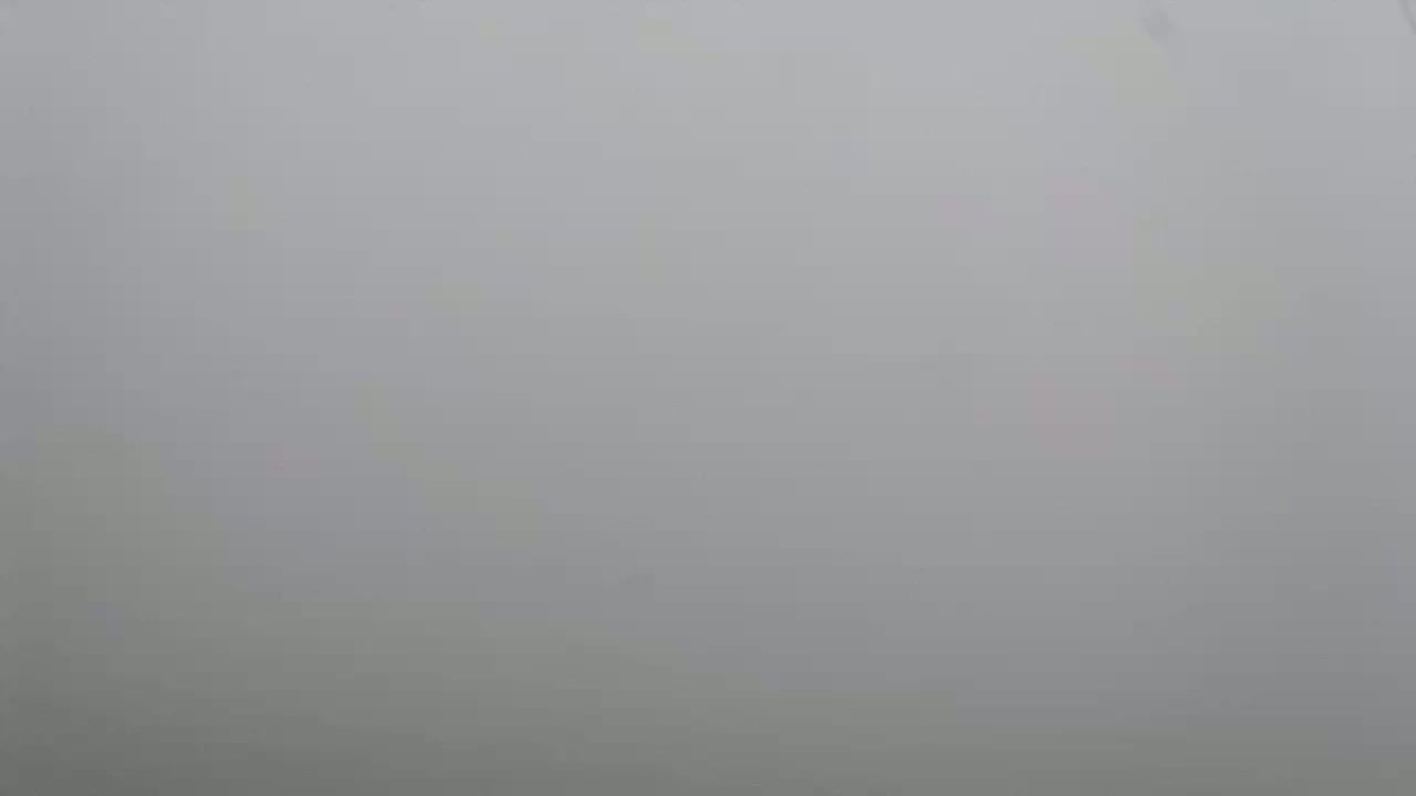 A uniformly gray, foggy scene is visible.