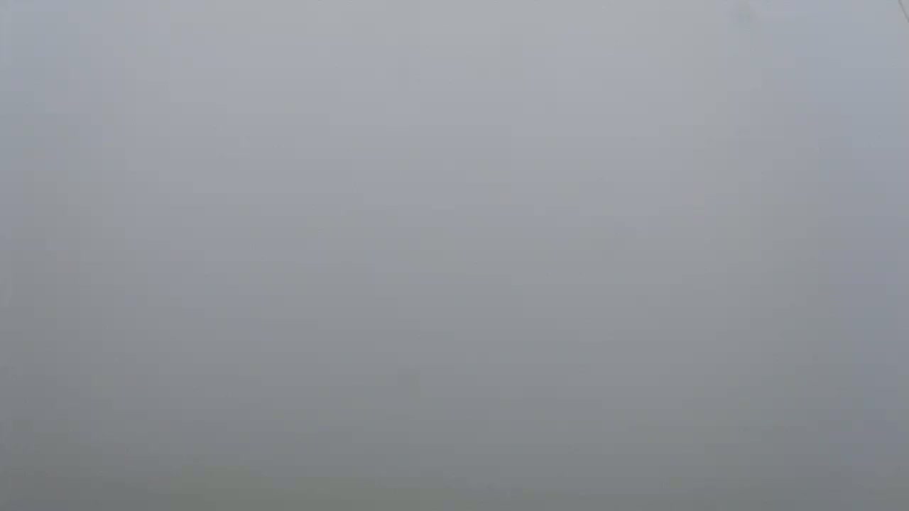 Gourette - Secteur Cotch Ski Slopes Live Cam - Eaux-Bonnes,  Pyrenees-Atlantiques, Nouvelle-Aquitaine, France 