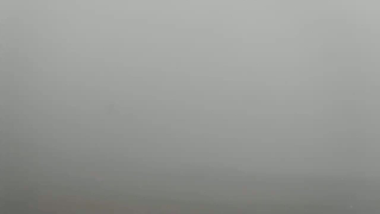 Gourette - Secteur Cotch Ski Slopes Live Cam - Eaux-Bonnes,  Pyrenees-Atlantiques, Nouvelle-Aquitaine, France 