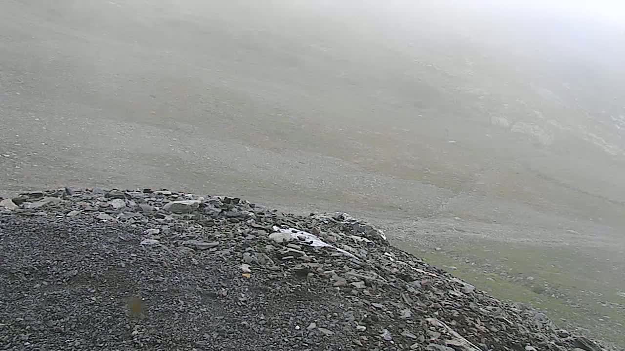 Gourette - Secteur Cotch Ski Slopes Live Cam - Eaux-Bonnes,  Pyrenees-Atlantiques, Nouvelle-Aquitaine, France 
