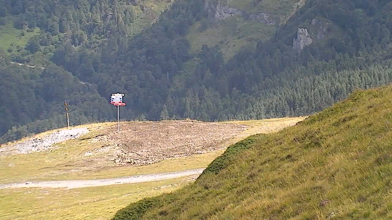 Gourette - Secteur Cotch Ski Slopes Live Cam - Eaux-Bonnes,  Pyrenees-Atlantiques, Nouvelle-Aquitaine, France 
