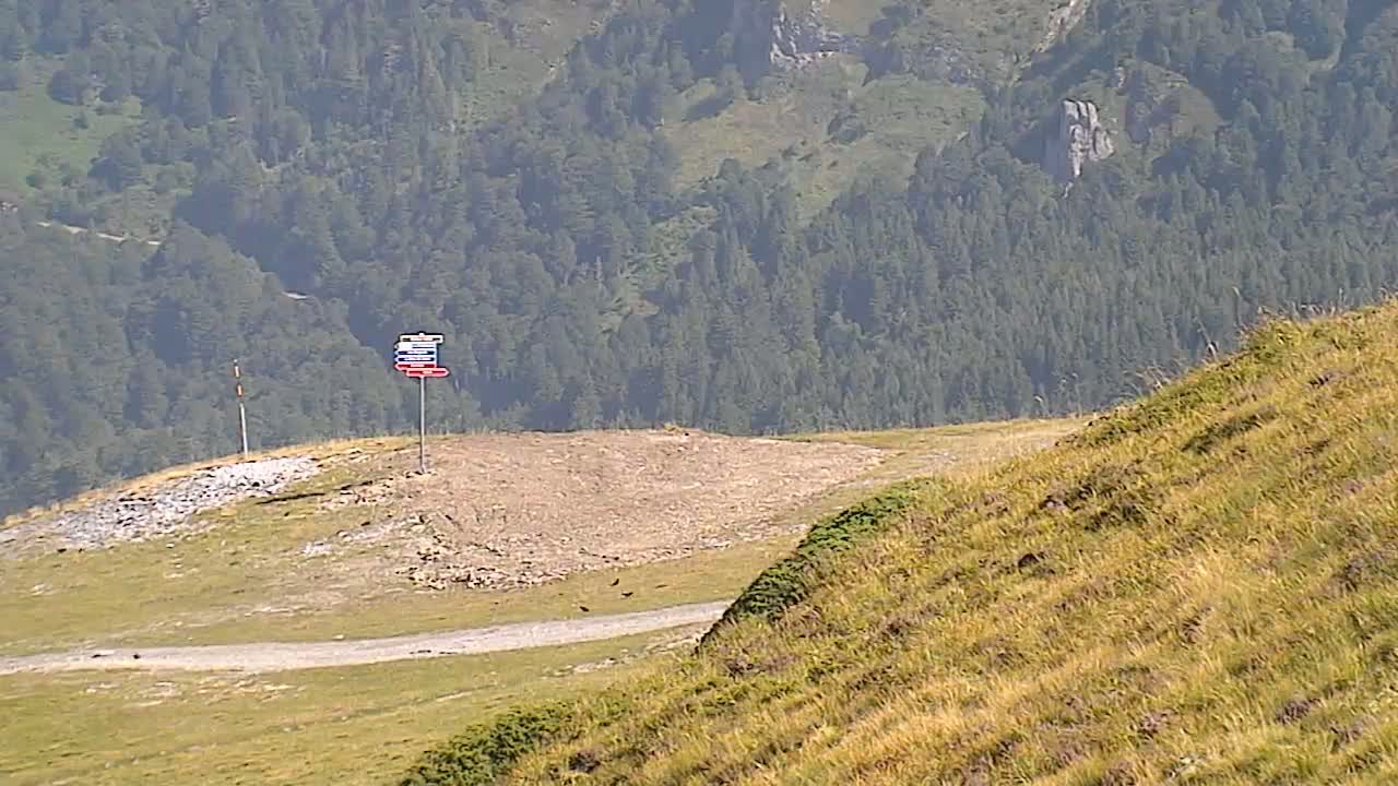 Gourette - Secteur Cotch Ski Slopes Live Cam - Eaux-Bonnes,  Pyrenees-Atlantiques, Nouvelle-Aquitaine, France 