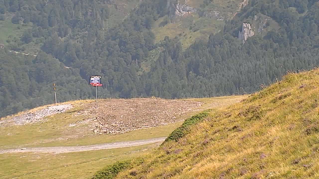 Gourette - Secteur Cotch Ski Slopes Live Cam - Eaux-Bonnes,  Pyrenees-Atlantiques, Nouvelle-Aquitaine, France 