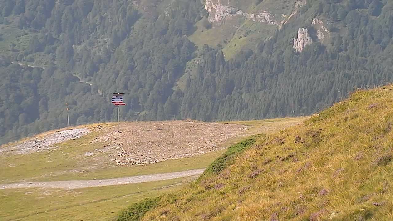 Gourette - Secteur Cotch Ski Slopes Live Cam - Eaux-Bonnes,  Pyrenees-Atlantiques, Nouvelle-Aquitaine, France 
