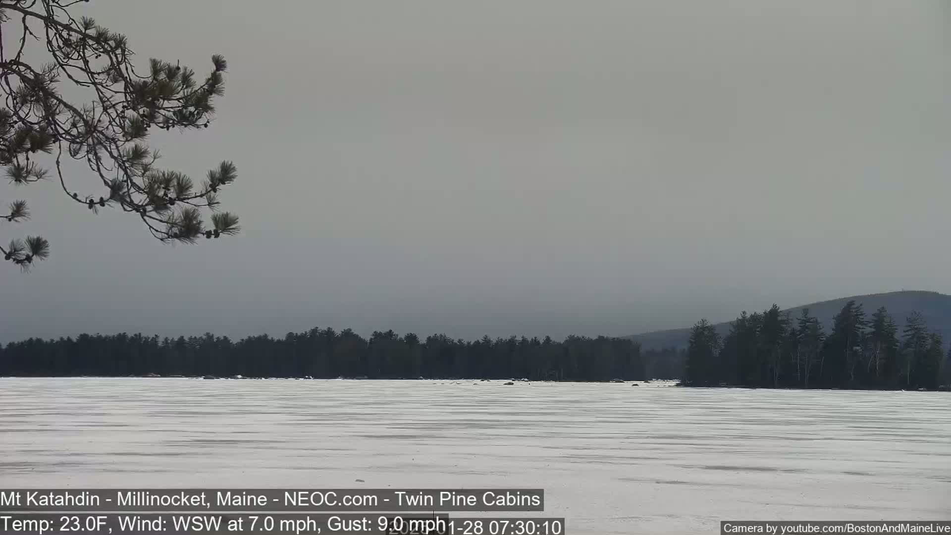 A frozen lake stretches to a treeline under an overcast sky.