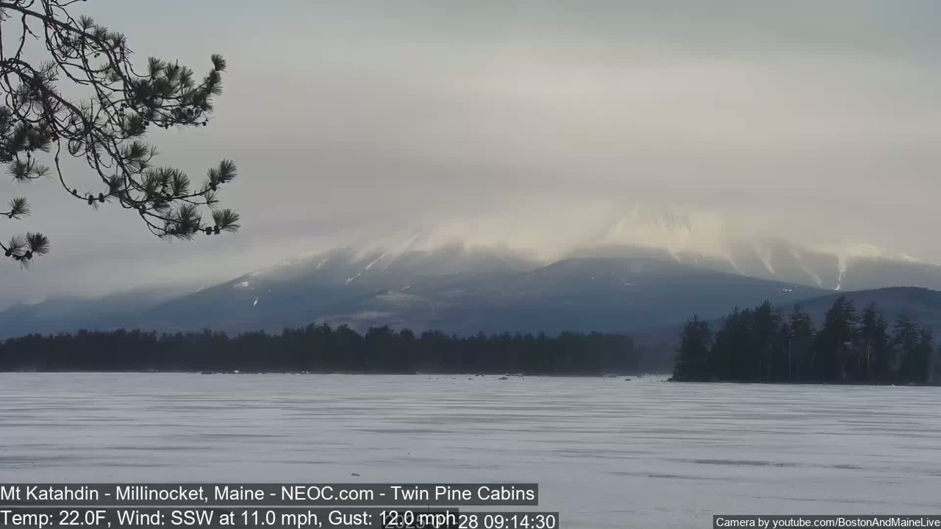 A snow-covered, frozen lake stretches out before a distant, snow-dusted mountain range under an overcast sky, with a tree branch in the foreground.