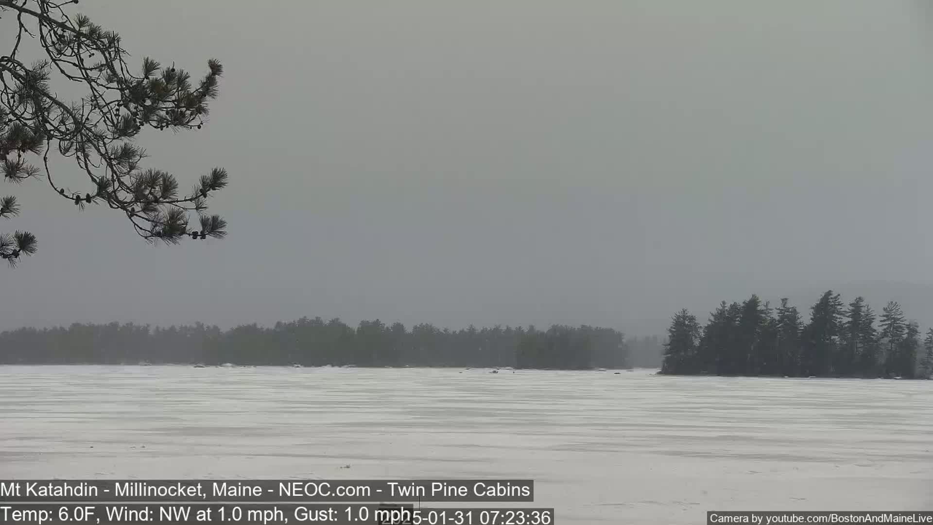 A snow-covered, frozen lake stretches out to a line of dark evergreen trees under an overcast sky.