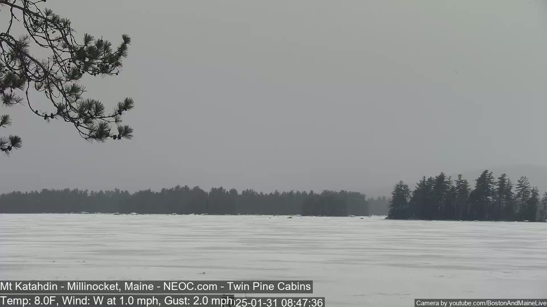 A snow-covered frozen lake stretches to a distant treeline under an overcast sky.