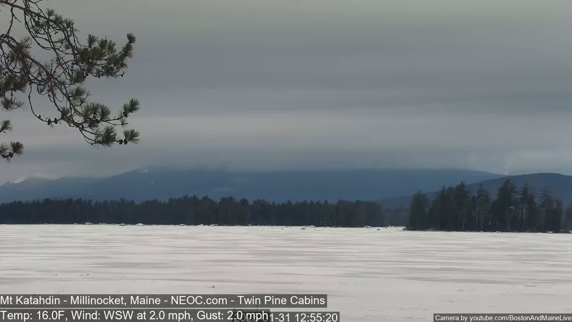 A snow-covered frozen lake stretches to a dark evergreen forest against a hazy, overcast sky and distant mountains.