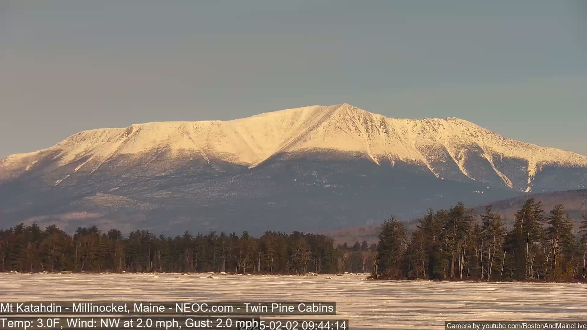 A snow-covered mountain rises in the distance behind a frozen lake and a dark line of evergreen trees, under a clear, light-blue sky.