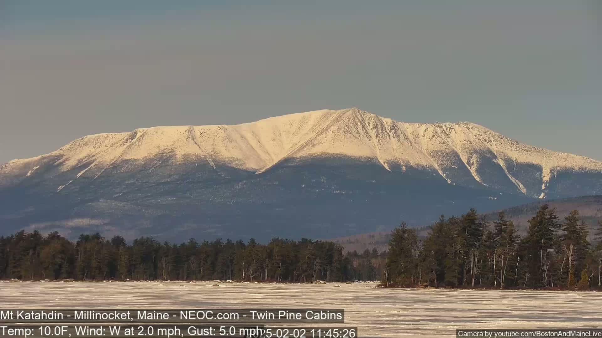 A snow-covered mountain range is visible in the distance, behind a frozen lake and a dark line of evergreen trees, under a clear, light-blue sky.