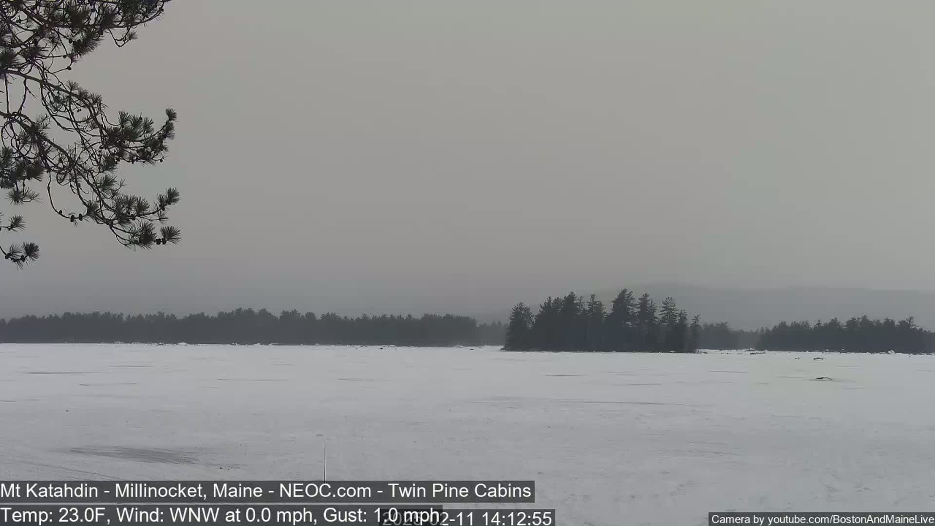 A snow-covered frozen lake stretches to a distant line of dark evergreens under a hazy gray sky.