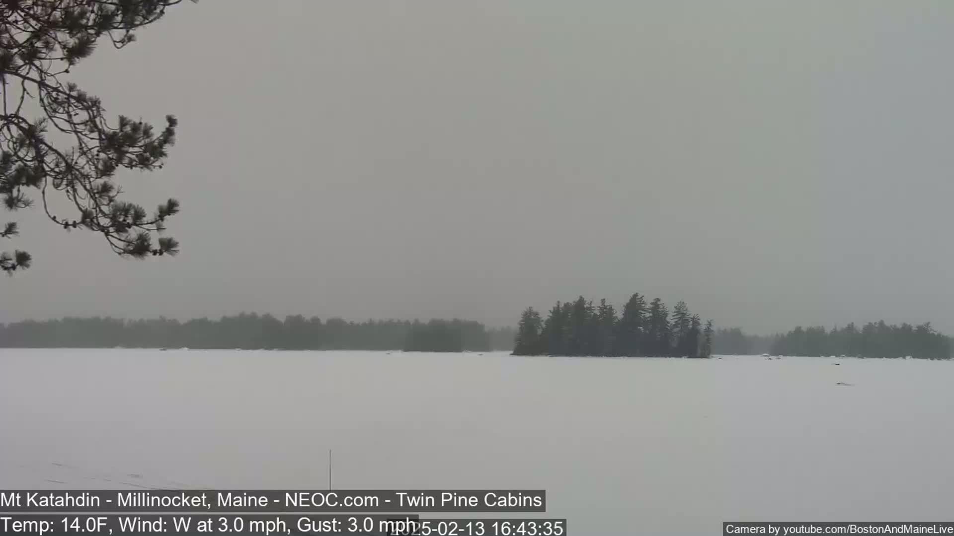 A snow-covered lake stretches to a treeline under an overcast sky.