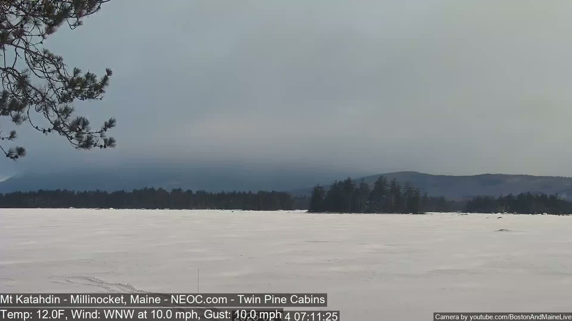 A snow-covered lake stretches to a distant, hazy mountain range under a gray sky, with a tree branch visible in the foreground.