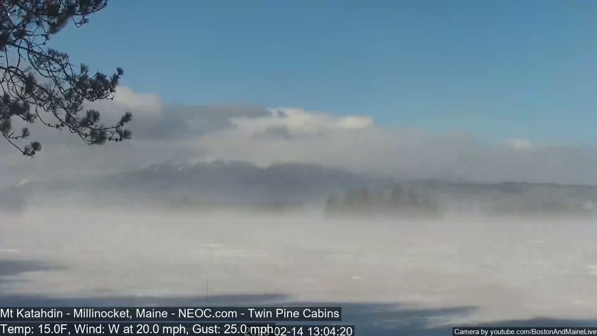 A snowy, foggy landscape with a distant mountain range partially obscured by blowing snow and a tree branch in the foreground, under a mostly clear sky.