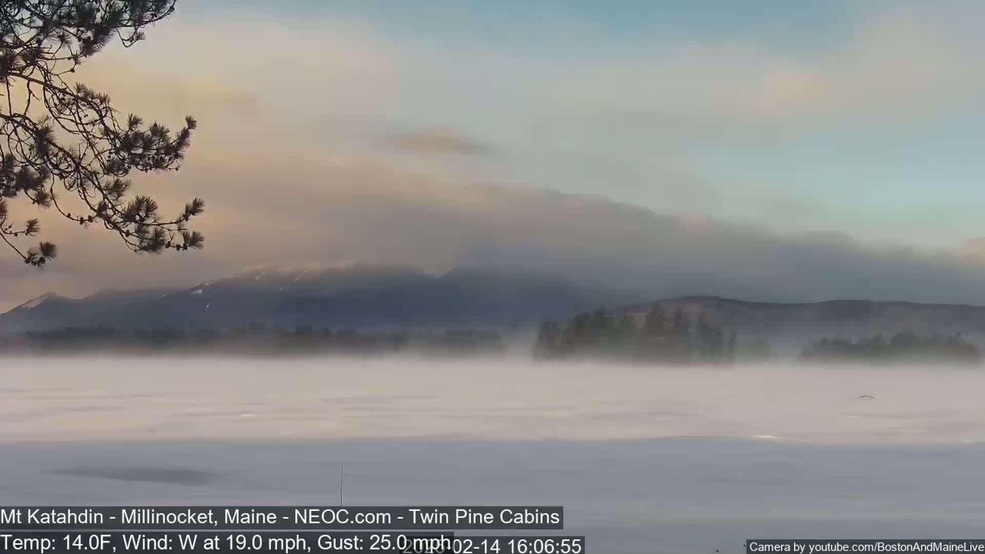 A snowy, foggy landscape with distant mountains under a pale sky is viewed from behind a pine branch.